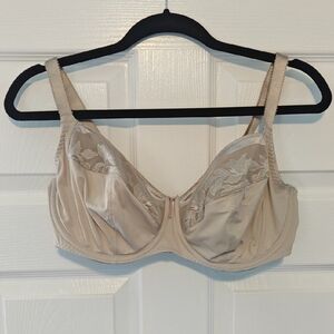 Fantasie Cream Bra with Lace Detail and Underwire